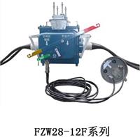 FZW28-12真空分界断路器