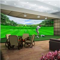 体太福室内高尔夫韩国原装进口-高速摄像模拟高尔夫