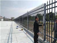 佛山市名汇小区外围墙安装锌钢护栏，铁艺护栏
