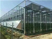 进口文洛型连栋全玻璃温室生产厂家 河南奥农苑温室工程有限公司