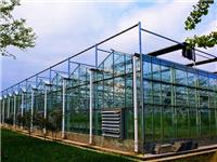进口文洛型连栋全玻璃温室制造商 河南奥农苑温室工程有限公司