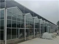 北京文洛型连栋全玻璃温室加工厂 河南奥农苑温室工程有限公司