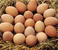 富硒鸡蛋生产技术的诞生是禽蛋生产史的重要变革