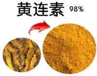 黄连素 盐酸小檗碱 黄连提取物 厂家供应 量大从优 可定制