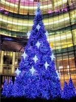 专业大型圣诞树制作价格定制制作提前预定出售