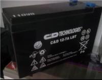 大力神蓄电池C&D12-12 LBT产地批发
