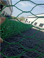 新余固滨笼制作 专业从事生产石笼网