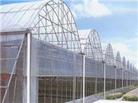 北京鑫秾PC阳光板温室可免费提供技术指导建设厂家
