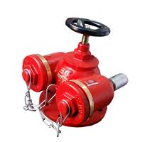 DN100消防水泵接合器