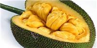 想进口柬埔寨香蕉应该具备哪些条件