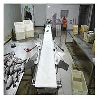 山东广昌六级皮带式鲈鱼重量分选机 自动分级机 动态检重分拣设备