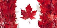 加拿大办理手续_省时省心_出签加拿大签怎么办