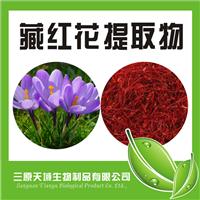 藏红花提取物 10:1 *植物提取物 厂家供应