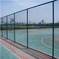 青岛批发生产球场围栏草绿墨绿 体育网防护栏