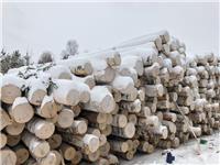 木材-上海进口木材