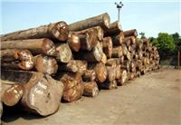 从国外进口木材青岛报关清关要走哪些程序