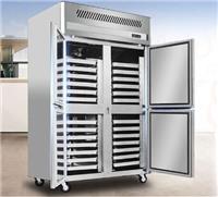 鹤壁有卖插盘柜 风冷插盘式冷冻柜冰柜