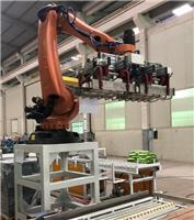 广东鑫星码垛机器人，自动化生产线搬运码垛机械手及仓储设备