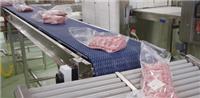 热销进口艾玛拉食品级输送带，SIEGLING 西格林肉制品包装输送带