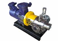 不锈钢滑片泵专业输送 石油 石化 磁力驱动滑片泵