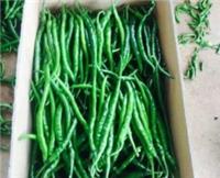 绿康达，拔尖广州蔬菜配送公司多年口碑公司，几十年专业生产蔬菜配送公司