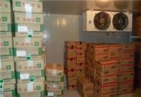广州农产品配送公司，优的增城食材配送公司可选食材配送公司
