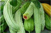 绿康达蔬菜配送——专业增城蔬菜配送供应商