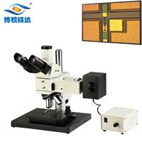厂家直销 BD-100金相显微镜 工业显微镜 工作高度可调 性价比**高