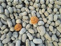 抚州陶粒厂，抚州300级建筑陶粒，抚州陶粒批发零售价格