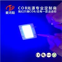 紫光COB光源 365NM 固化**COB光源 尺寸 形状定制 专业COB定制