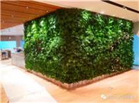仿真植物墙绿化墙花墙垂直绿化植物租摆植物配送