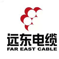 远东电缆有限公司