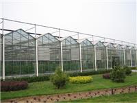 智能农业种植观光玻璃温室大棚工程一站式建造商家