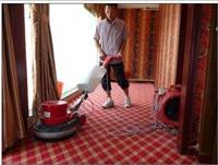 阜阳地毯清洗服务 欢迎在线咨询