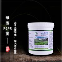 绿陇PGPR菌