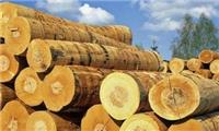 青岛做木材进口清关的公司