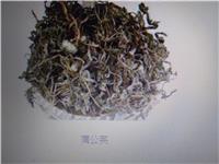 蒲公英种子种植方法，蒲公英种子批发价格，种植蒲公英的前景