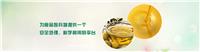 上海橄榄油回收-临期橄榄油回收厂家-湖南橄榄油回收