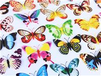 质量好的仿真蝴蝶——专业的夜光10厘米蝴蝶提供商—温州金蝴蝶工艺品