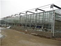 四位一体生态观光玻璃温室大棚提供OEM代加工实体厂家