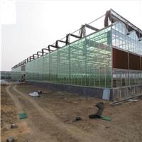 山东青州温室工程公司进出口贸易大棚材料温室骨架的厂家
