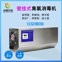 广州创粤10g壁挂式臭氧发生器食品厂臭氧消毒机