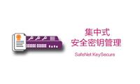 KeySecure 密钥保护及管理