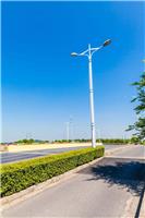 甘肃2020年市电LED路灯厂家 日喀则LED路灯 巴中路灯