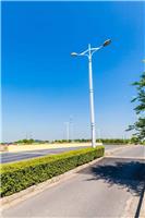 新农村太阳能路灯 吉安锂电池太阳能路灯经销商 工程灯饰