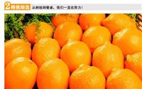 北京进口食品操作流程及报关所需要资料信息