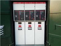 厂家供应 环网柜 断路器式 XGN15-12 高压开关柜 高压开闭所 南业电力
