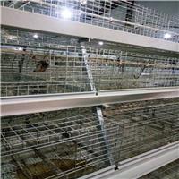 西平笼网之乡蛋鸡笼生产地高线材耐腐蚀欢迎来电质询