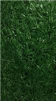 仿真地毯草坪网 户外草坪加密、加厚、无味环保仿真假草皮