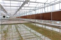 衡水 pc板智能温室大棚建造工程 pc板连栋温室